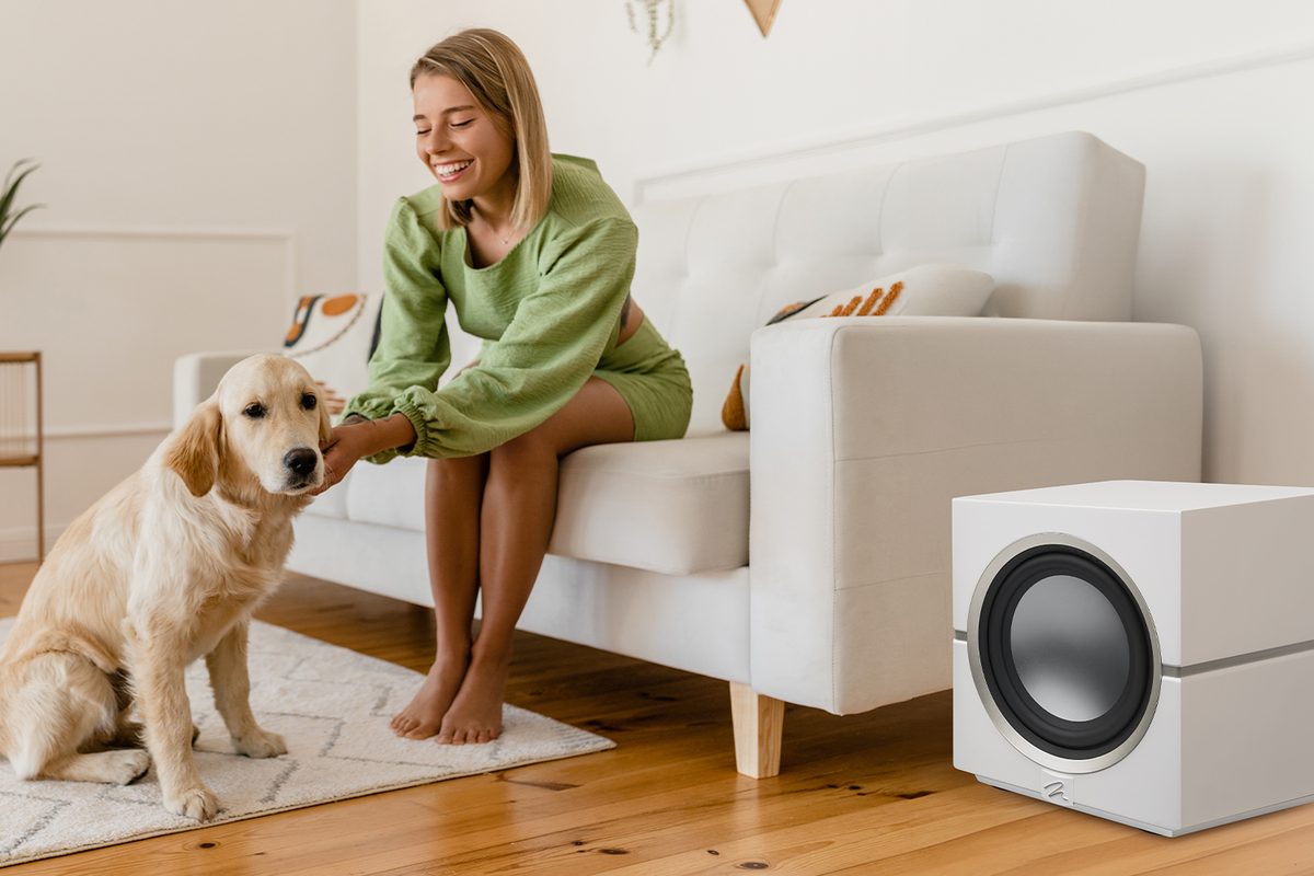 MartinLogan Dynamo 10 subwoofer